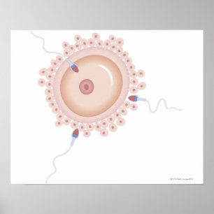 Sperm Containing Mutated Gene Poster