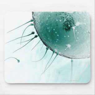 Sperm Fertilising an Ovum. Mouse Pad