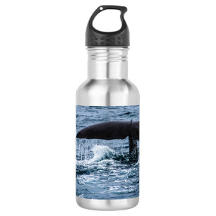 Sperm Whale 532 Ml Water Bottle