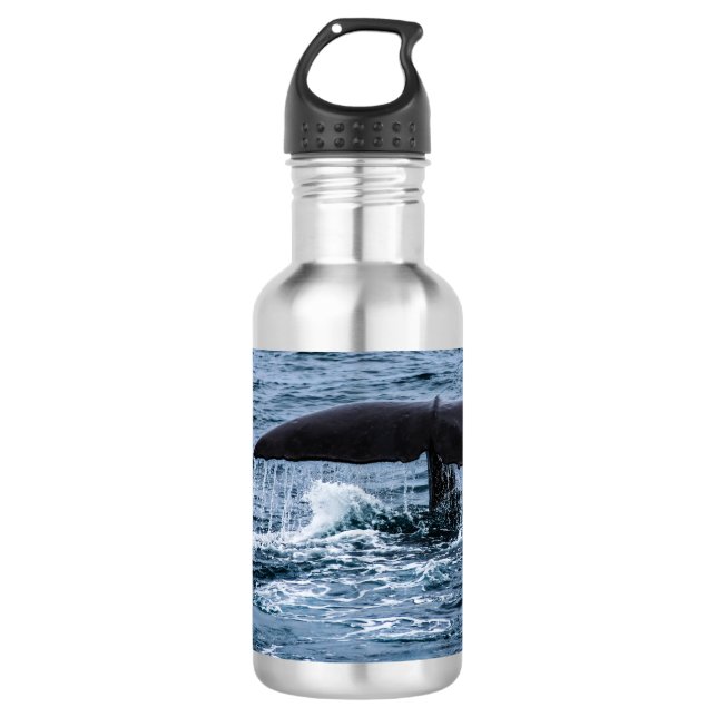 Sperm Whale 532 Ml Water Bottle (Front)