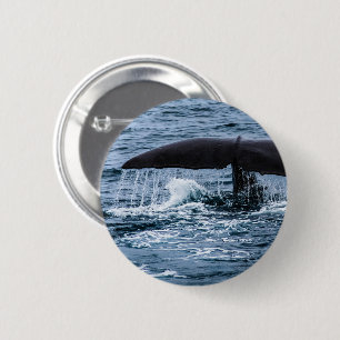 Sperm Whale 6 Cm Round Badge