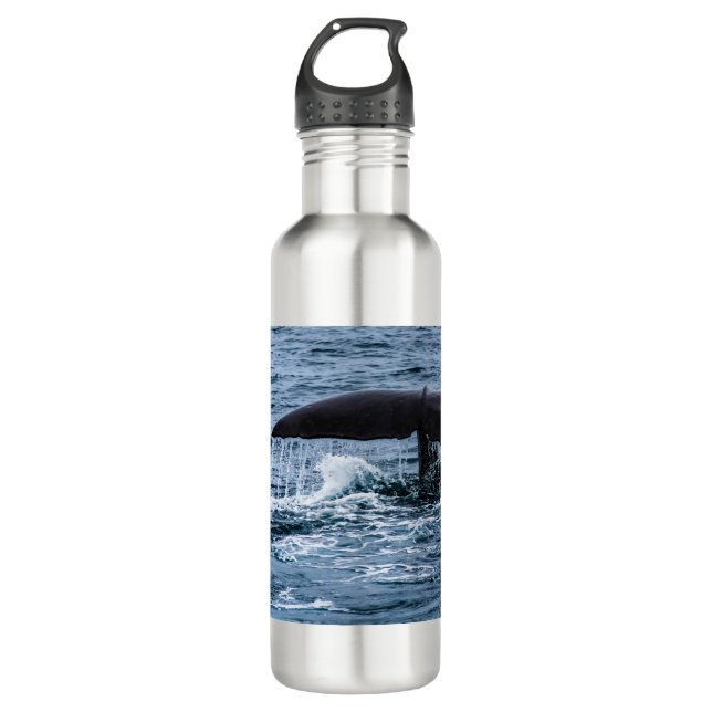 Sperm Whale 710 Ml Water Bottle (Front)