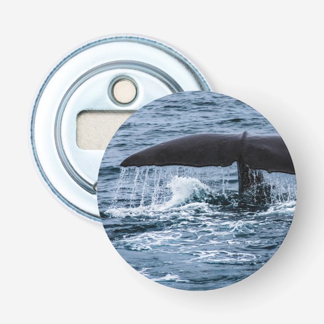 Sperm Whale Bottle Opener (Front)