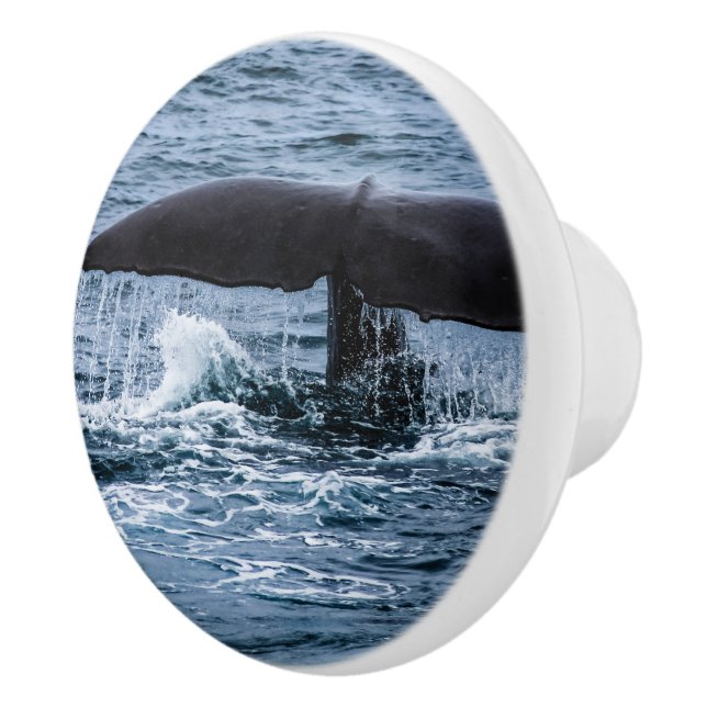 Sperm Whale Ceramic Knob (Right)
