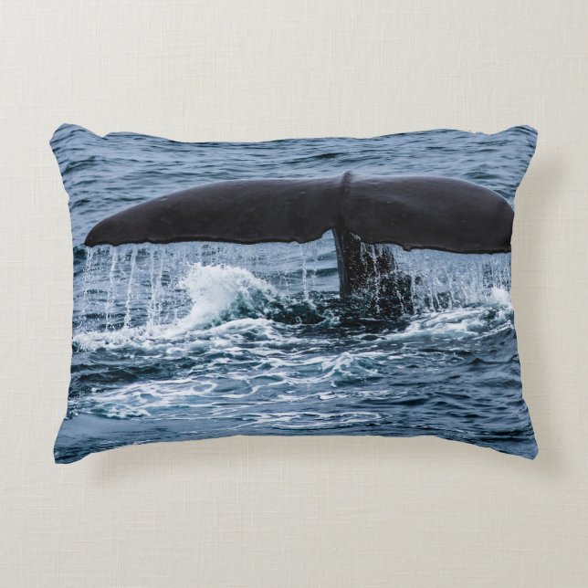 Sperm Whale Decorative Cushion (Front)