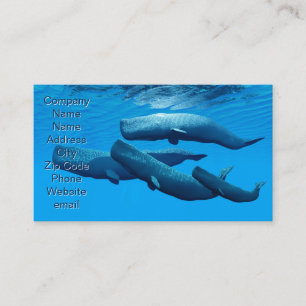Sperm Whale Family Business Card