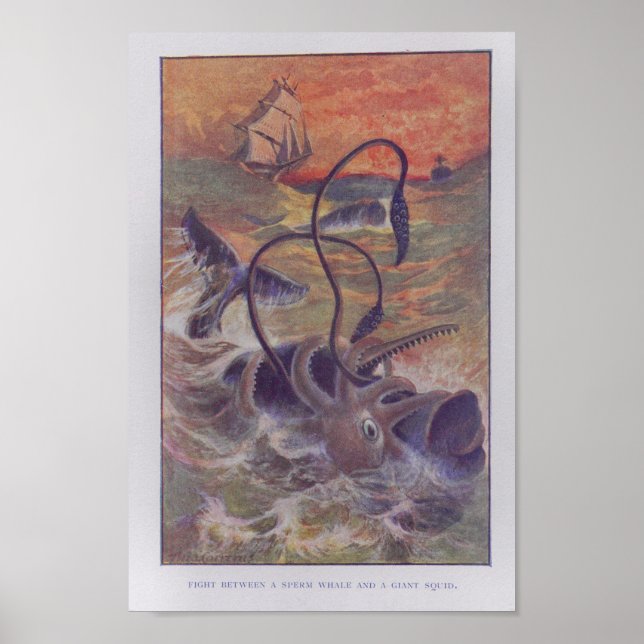 Sperm Whale Giant Squid Fight Colour Print (Front)