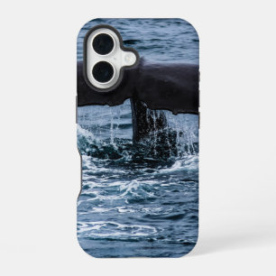 Sperm Whale iPhone 16 Case