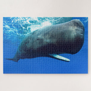 Sperm Whale Jigsaw Puzzle