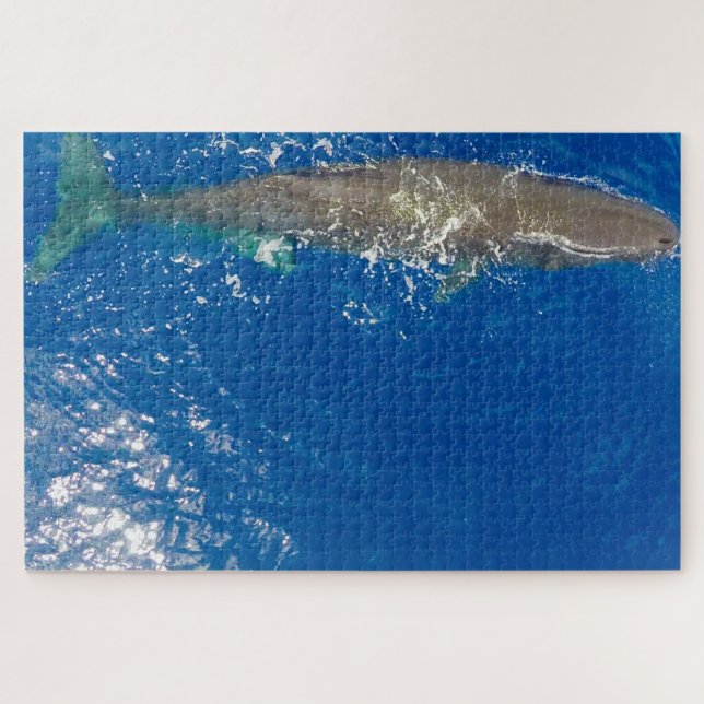 Sperm Whale Jigsaw Puzzle (Horizontal)