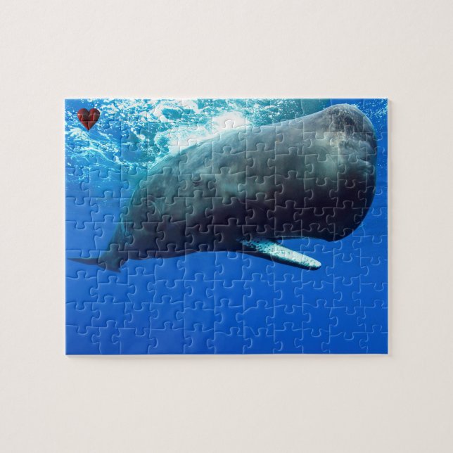 Sperm Whale Jigsaw Puzzle (Horizontal)