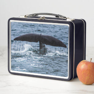 Sperm Whale Metal Lunch Box