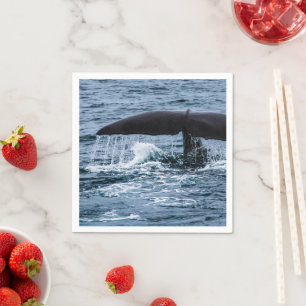 Sperm Whale Napkin