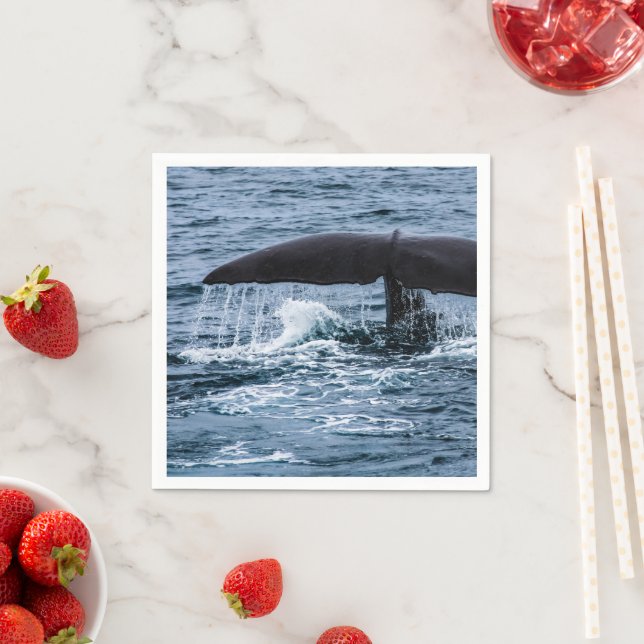 Sperm Whale Napkin (Insitu)