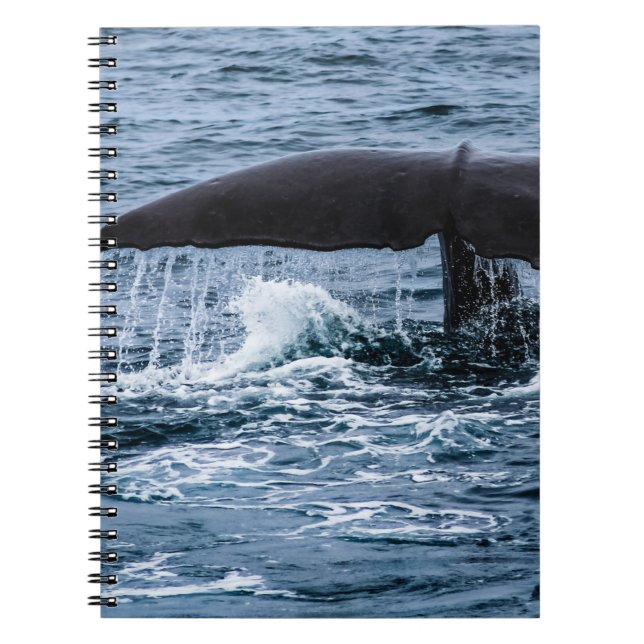 Sperm Whale Notebook (Front)