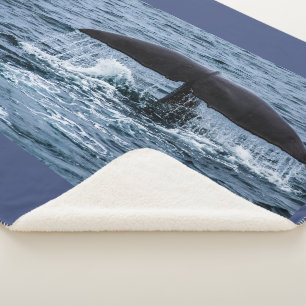 Sperm Whale Sherpa Blanket