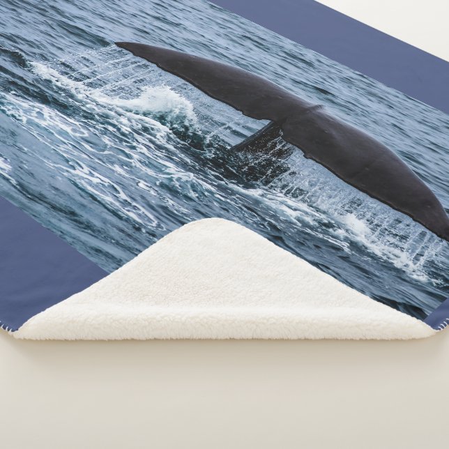 Sperm Whale Sherpa Blanket (3/4)