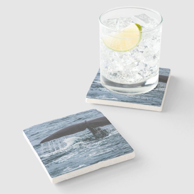Sperm Whale Stone Coaster (Side)