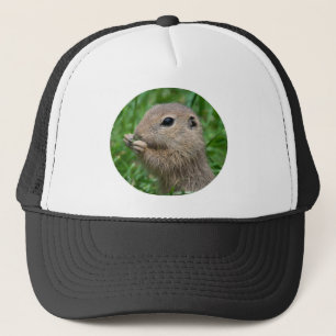 Spermophilus citellus trucker hat