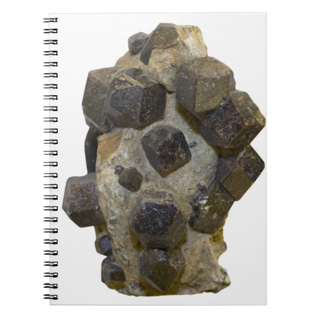 Spessartite in Matrix Notebook (Front)