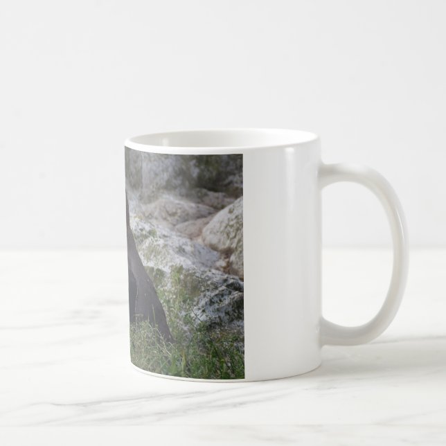 Spheniscus humboldti coffee mug (Right)