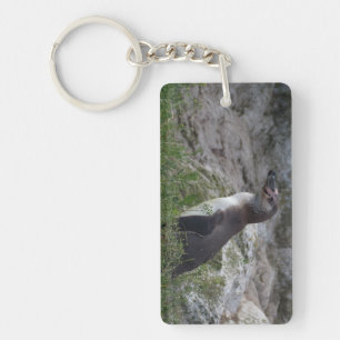 Spheniscus humboldti key ring