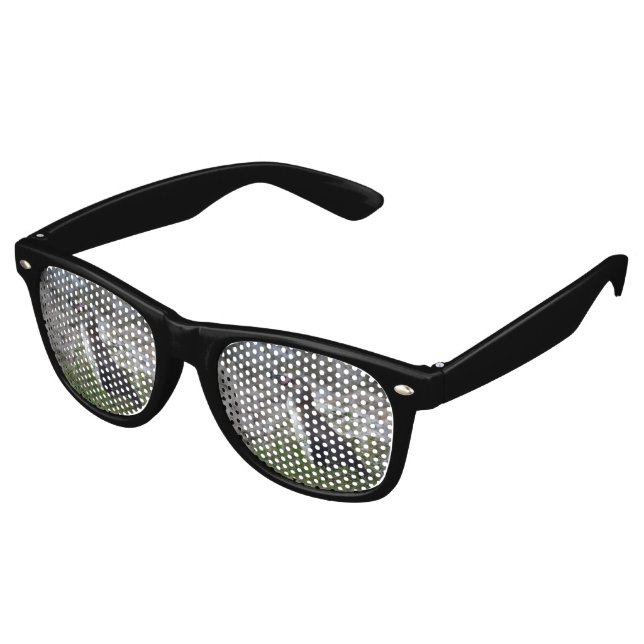 Spheniscus humboldti retro sunglasses (Angled)