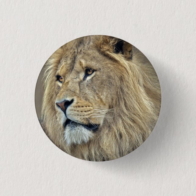 Sphinx Badge (Front)