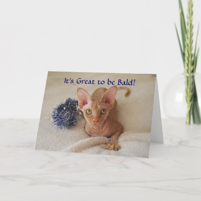 Sphinx Cat Hairless Chemotherapy Humour Card (Front)