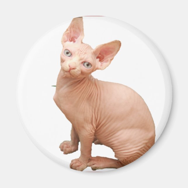 Sphinx cat magnet (Front)