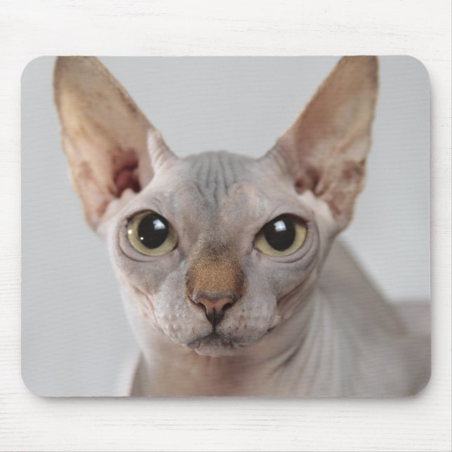 Sphinx cat pet cute hairless face funny mouse pad (Front)