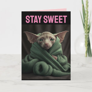 SPHINX CUTE HAIRLESS CAT BIG VALENTINE'S DAY CARD