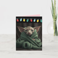 SPHINX CUTE HAIRLESS CAT CHRISTMAS