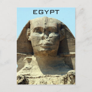 sphinx face egypt postcard