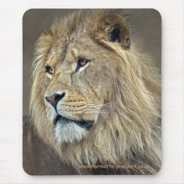 Sphinx Mousemat (Front)