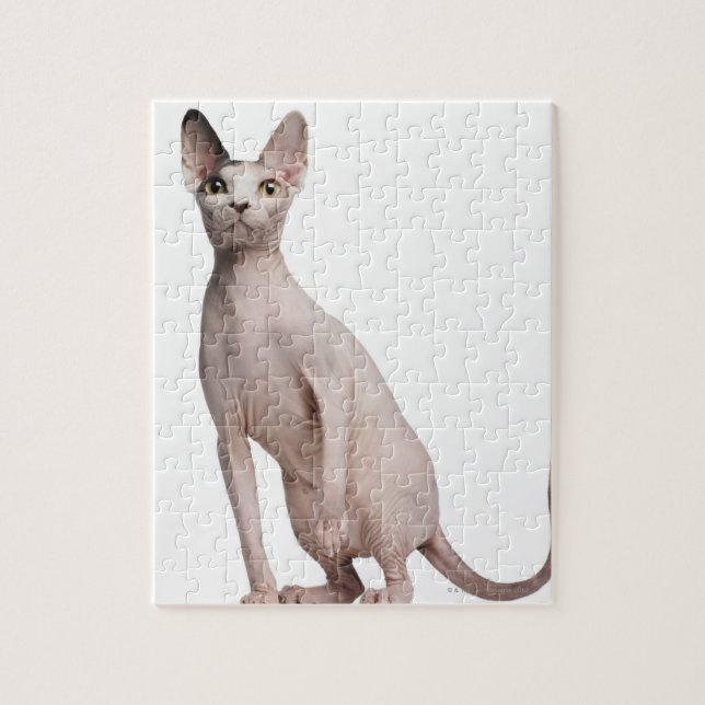 Sphynx (13 months old) jigsaw puzzle (Vertical)
