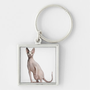 Sphynx (13 months old) key ring