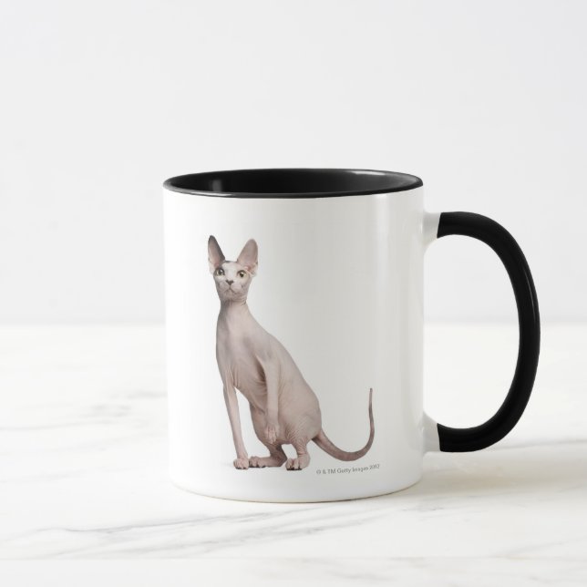 Sphynx (13 months old) mug (Right)