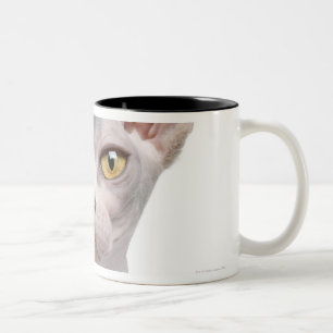 Sphynx (7 months old) Two-Tone coffee mug