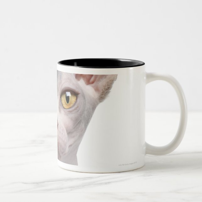 Sphynx (7 months old) Two-Tone coffee mug (Right)