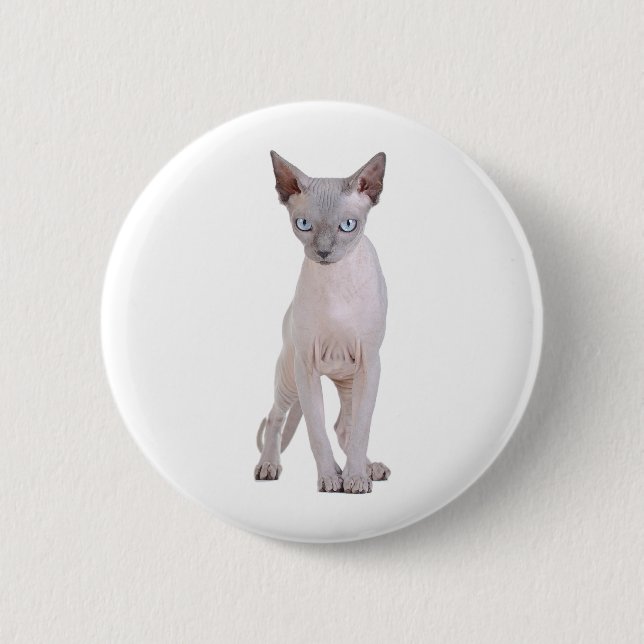 Sphynx cat 6 cm round badge (Front)