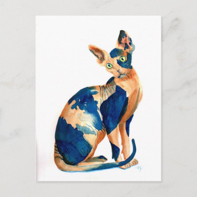Sphynx Cat 6 Postcard (Front)