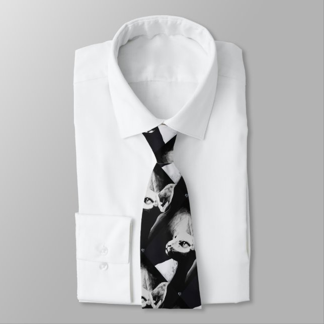 Sphynx Cat Black White Contrast Kitty Portrait Art Tie (Tied)