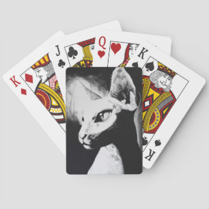 Sphynx Cat Black White Kitty Animal Portrait Art Playing Cards