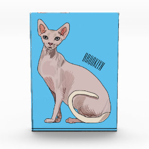 Sphynx cat cartoon illustration photo block