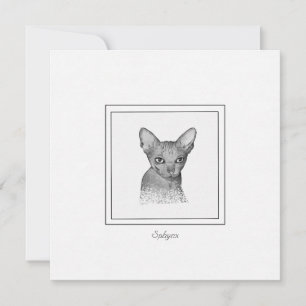 Sphynx Cat Chalk Drawing Note Card