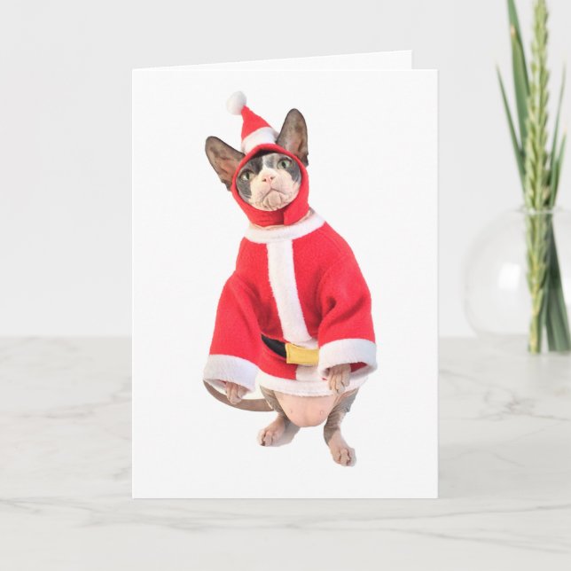Sphynx Cat Christmas Card (Front)