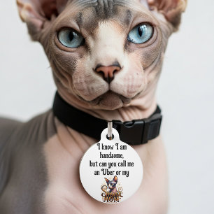 Sphynx Cat Funny Pet Tag