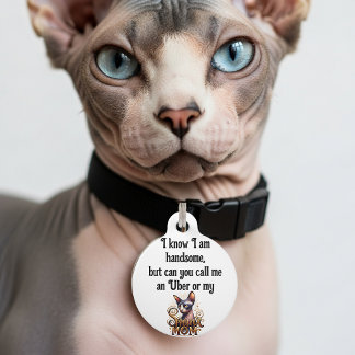 Sphynx Cat Funny Pet Tag