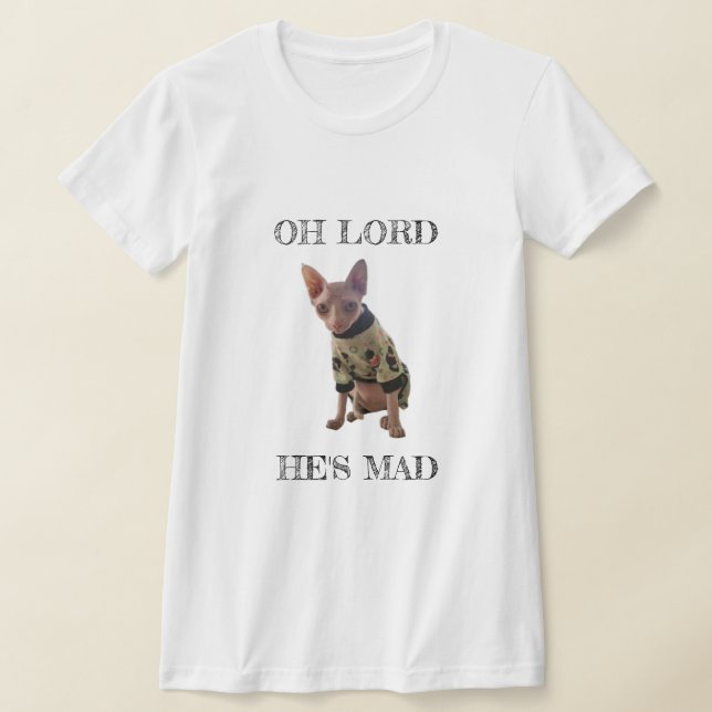 Sphynx Cat Funny T-Shirt (Laydown)
